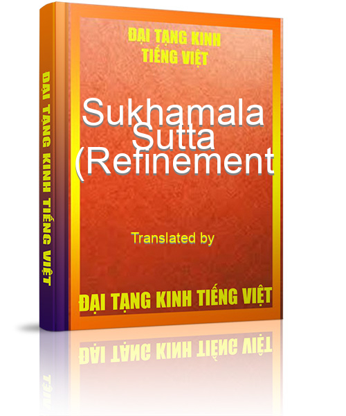 Đại Tạng Kinh Việt Nam